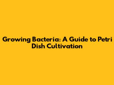 Growing Bacteria: A Guide to Petri Dish Cultivation