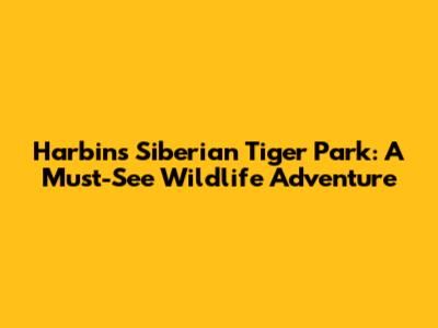 Harbin's Siberian Tiger Park: A Must-See Wildlife Adventure