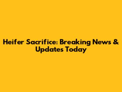 Heifer Sacrifice: Breaking News & Updates Today