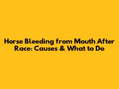 Horse Bleeding from Mouth After Race: Causes & What to Do