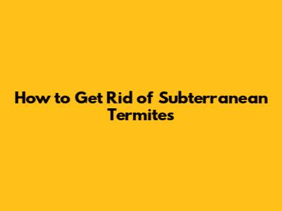 How to Get Rid of Subterranean Termites