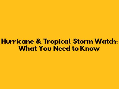 Hurricane & Tropical Storm Watch: What You Need to Know