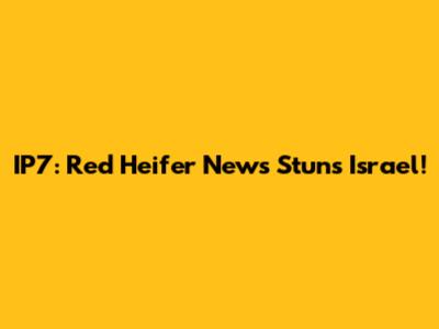 IP7: Red Heifer News Stuns Israel!