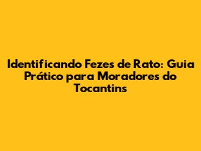 Identificando Fezes de Rato: Guia Prático para Moradores do Tocantins