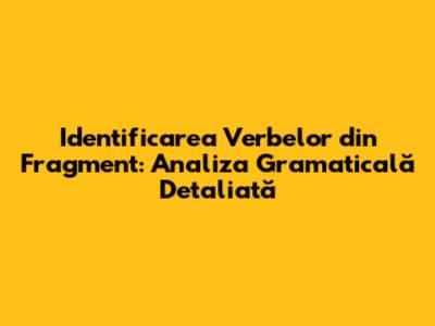 Identificarea Verbelor din Fragment: Analiza Gramaticală Detaliată