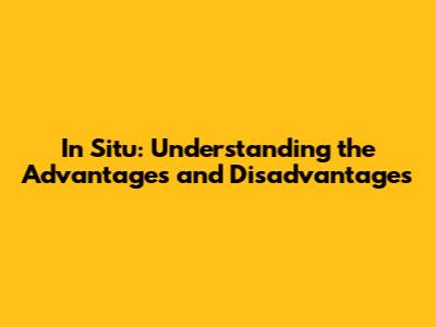 In Situ: Understanding the Advantages and Disadvantages