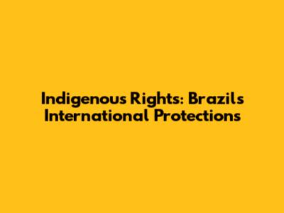 Indigenous Rights: Brazil's International Protections