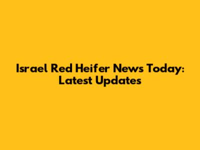 Israel Red Heifer News Today: Latest Updates