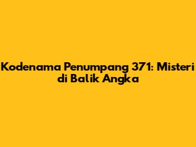 Kodenama Penumpang 371: Misteri di Balik Angka