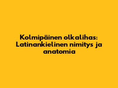 Kolmipäinen olkalihas: Latinankielinen nimitys ja anatomia