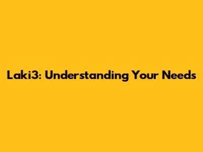 Laki3: Understanding Your Needs