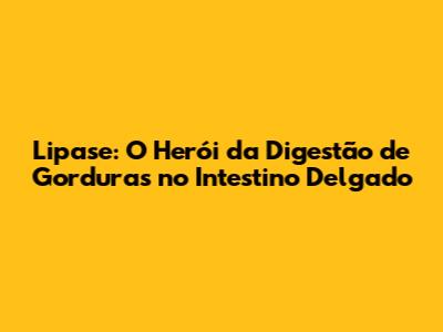 Lipase: O Herói da Digestão de Gorduras no Intestino Delgado