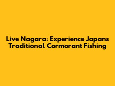 Live Nagara: Experience Japan's Traditional Cormorant Fishing