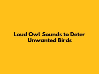 Loud Owl Sounds to Deter Unwanted Birds