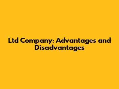 Ltd Company: Advantages and Disadvantages