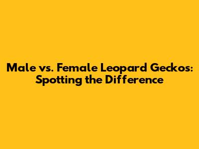 Male vs. Female Leopard Geckos: Spotting the Difference