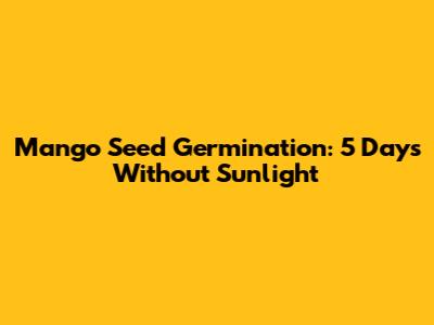 Mango Seed Germination: 5 Days Without Sunlight