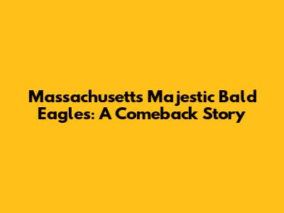 Massachusetts' Majestic Bald Eagles: A Comeback Story