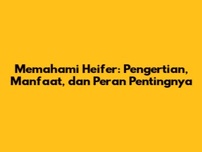 Memahami Heifer: Pengertian, Manfaat, dan Peran Pentingnya