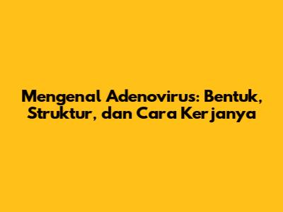 Mengenal Adenovirus: Bentuk, Struktur, dan Cara Kerjanya