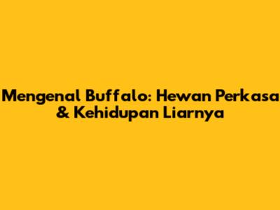 Mengenal Buffalo: Hewan Perkasa & Kehidupan Liarnya