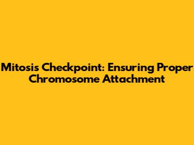 Mitosis Checkpoint: Ensuring Proper Chromosome Attachment