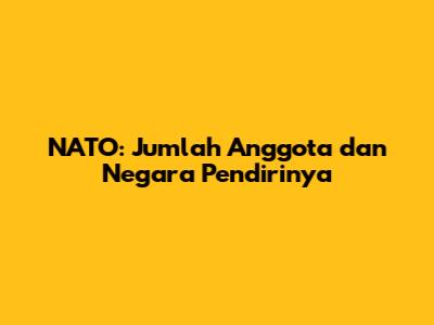 NATO: Jumlah Anggota dan Negara Pendirinya