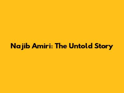 Najib Amiri: The Untold Story