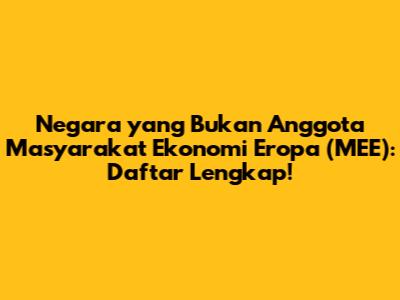 Negara yang Bukan Anggota Masyarakat Ekonomi Eropa (MEE): Daftar Lengkap!