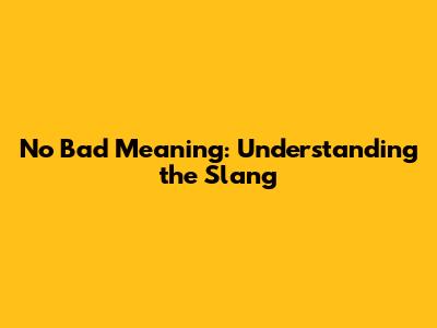 No Bad Meaning: Understanding the Slang