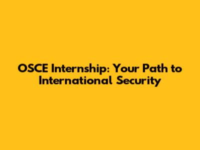 OSCE Internship: Your Path to International Security