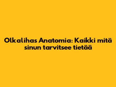 Olkalihas Anatomia: Kaikki mitä sinun tarvitsee tietää