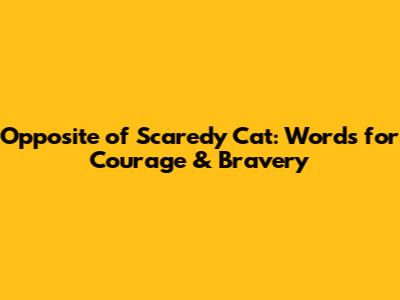 Opposite of Scaredy Cat: Words for Courage & Bravery
