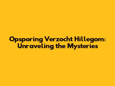 Opsporing Verzocht Hillegom: Unraveling the Mysteries