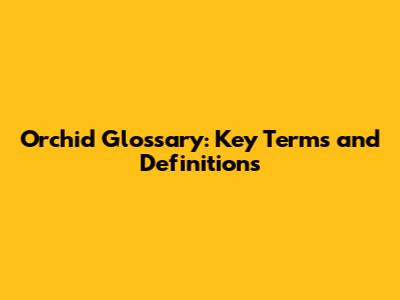 Orchid Glossary: Key Terms and Definitions