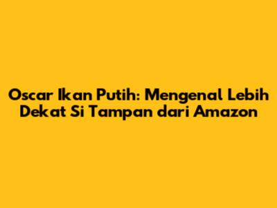 Oscar Ikan Putih: Mengenal Lebih Dekat Si Tampan dari Amazon