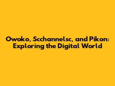 Owoko, Scchannelsc, and Pikon: Exploring the Digital World