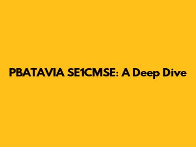 PBATAVIA SE1CMSE: A Deep Dive