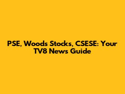 PSE, Woods Stocks, CSESE: Your TV8 News Guide