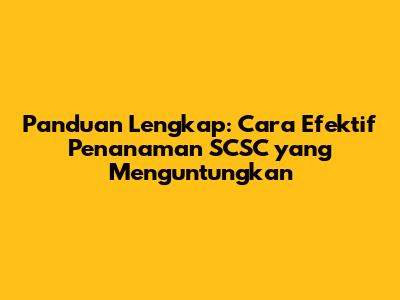 Panduan Lengkap: Cara Efektif Penanaman SCSC yang Menguntungkan