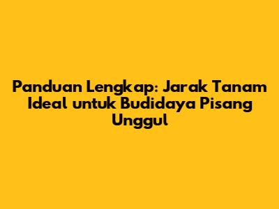 Panduan Lengkap: Jarak Tanam Ideal untuk Budidaya Pisang Unggul