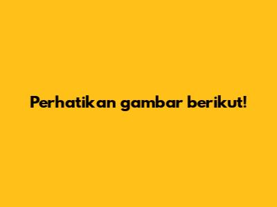 Perhatikan gambar berikut!