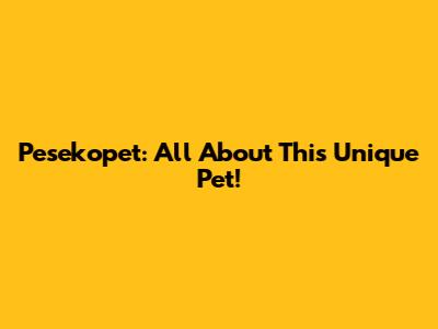 Pesekopet: All About This Unique Pet!