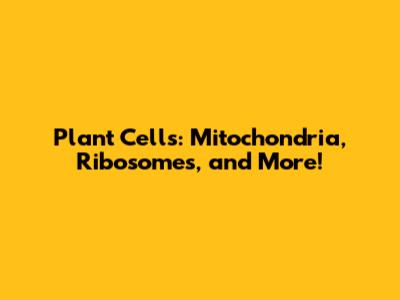 Plant Cells: Mitochondria, Ribosomes, and More!