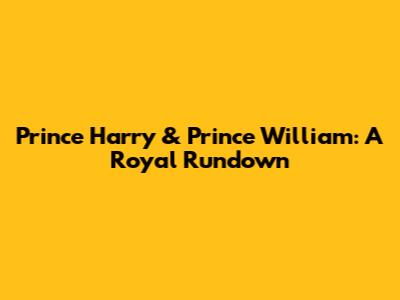 Prince Harry & Prince William: A Royal Rundown