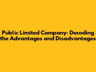 Public Limited Company: Decoding the Advantages and Disadvantages