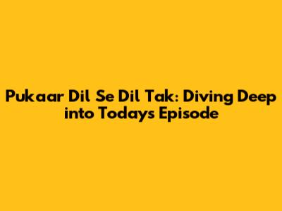 Pukaar Dil Se Dil Tak: Diving Deep into Today's Episode
