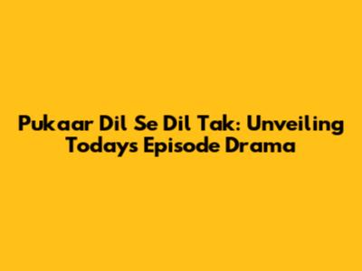 Pukaar Dil Se Dil Tak: Unveiling Today's Episode Drama