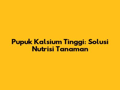 Pupuk Kalsium Tinggi: Solusi Nutrisi Tanaman