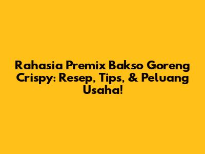 Rahasia Premix Bakso Goreng Crispy: Resep, Tips, & Peluang Usaha!